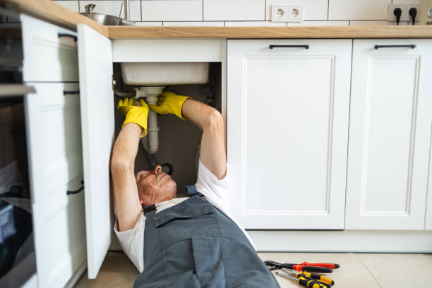Best Residential Plumbing Services  in Zilwaukee, MI